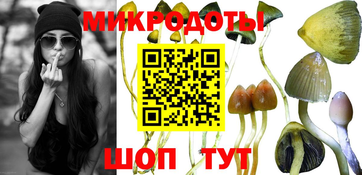 Долгопрудный  Псилоцибиновые грибы прущие грибы  Вход с VPN 