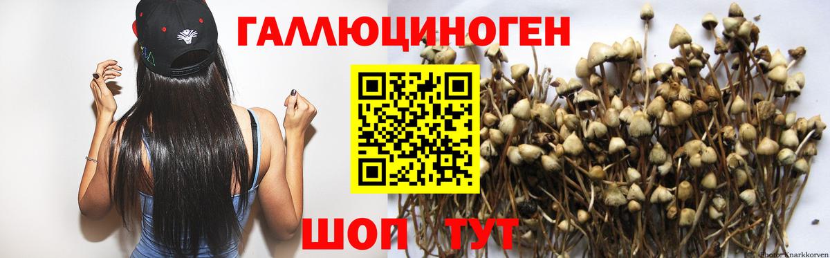Бошки Шишки Долгопрудный